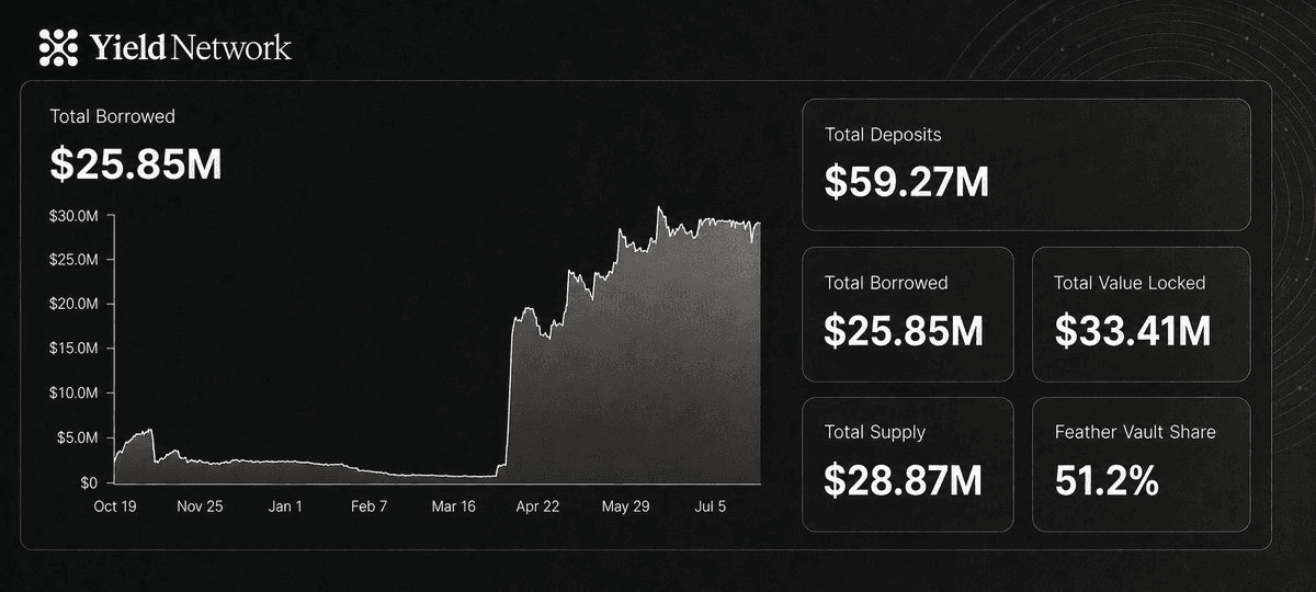 Total borrowed chart showing $25.85M in active borrows across the Sei Morpho markets from October through July